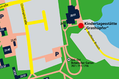Anfahrt-Grashüpfer